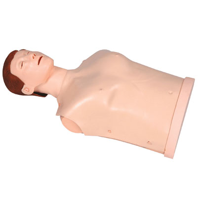  半身心肺復(fù)蘇訓(xùn)練模擬人 KAS-CPR100